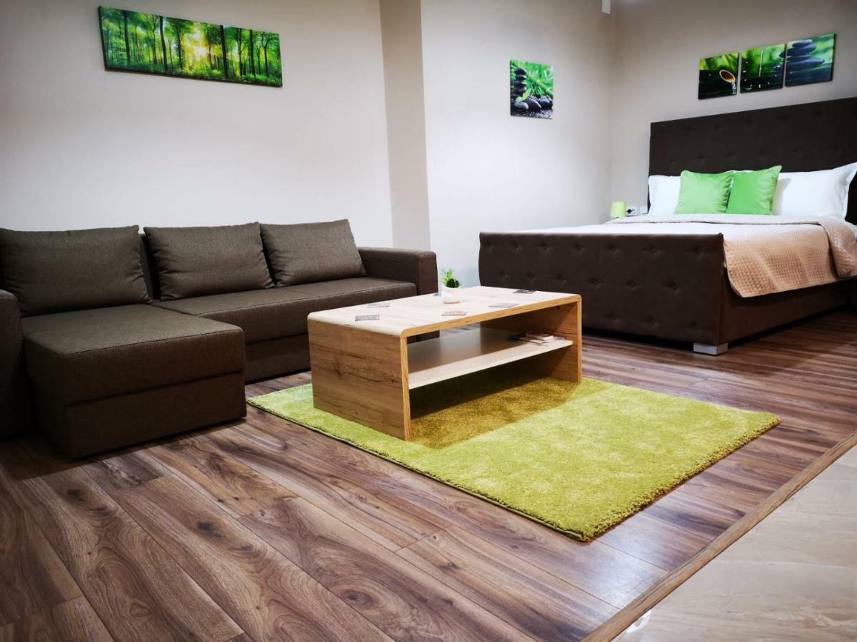 Irina Apartments Timisoara Esterno foto