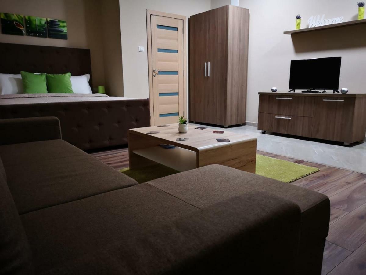 Irina Apartments Timisoara Esterno foto