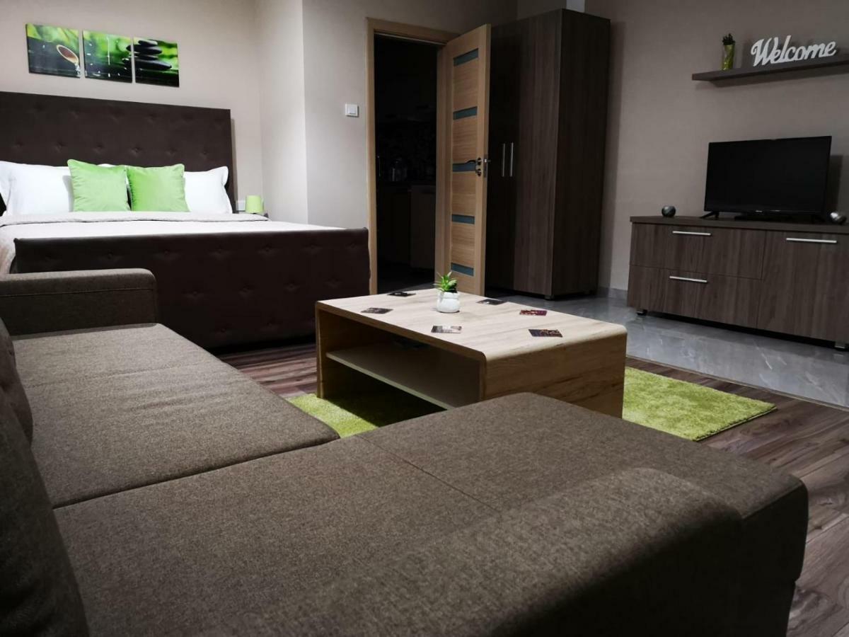 Irina Apartments Timisoara Esterno foto